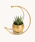 Moon Shape Vase Gold Metal Moon Shape Flower Pot, Table Decorative Flower Pot Home Decor vase